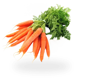 vegetables-image