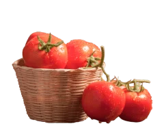 tomato